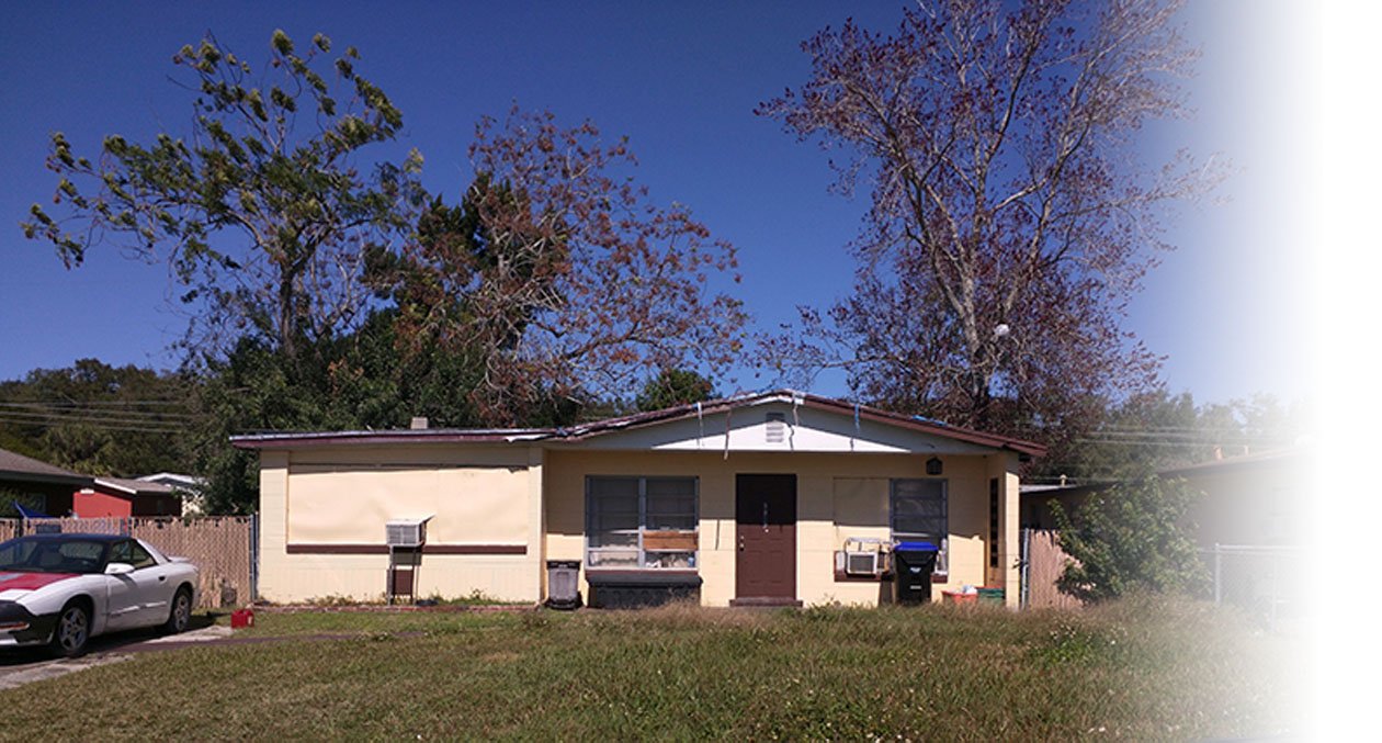 The House Overrun With Cats and Mold